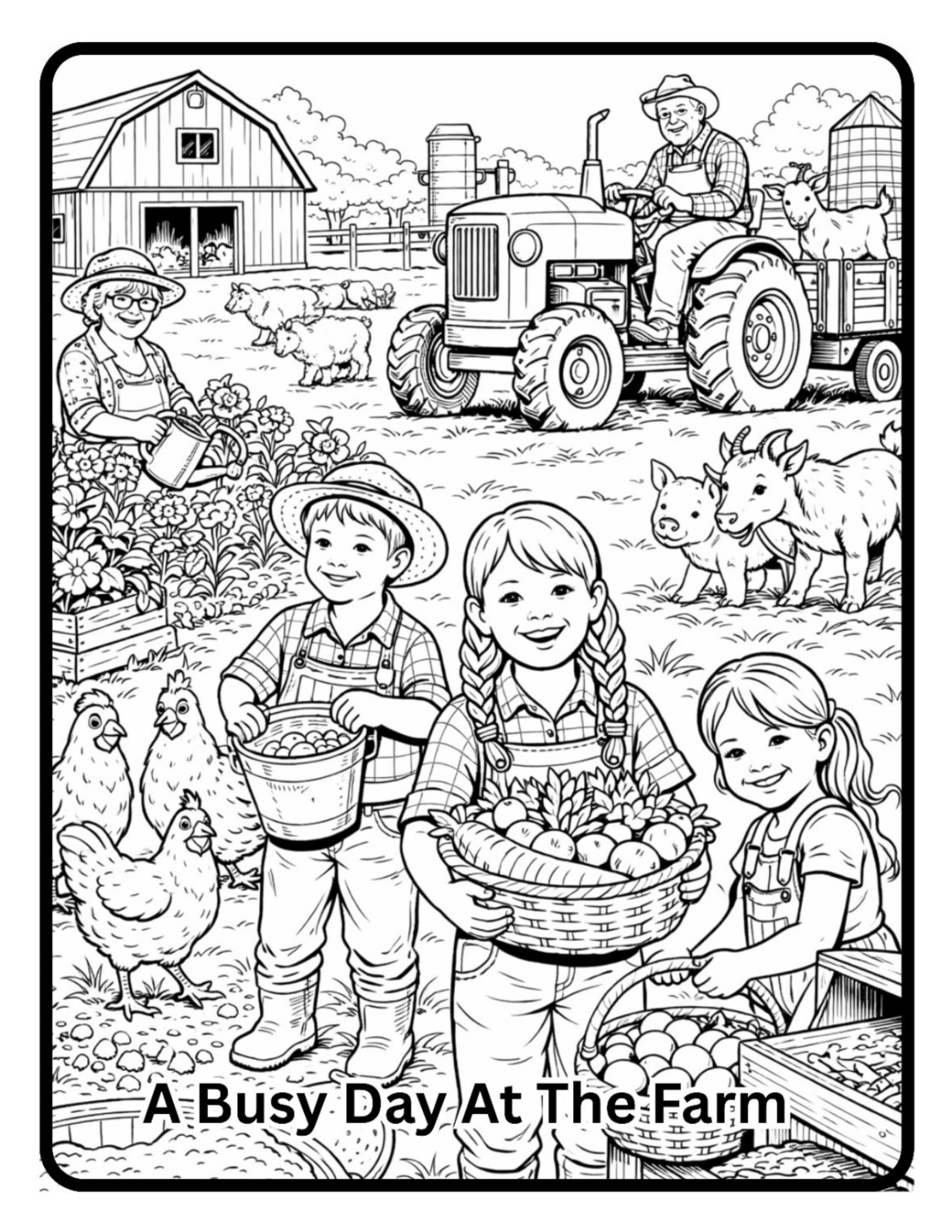 Fun At Harmony Hill Acres